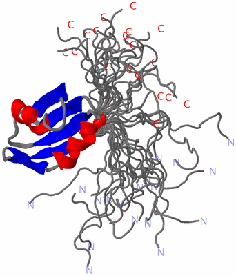 Image NMR Structure - all models