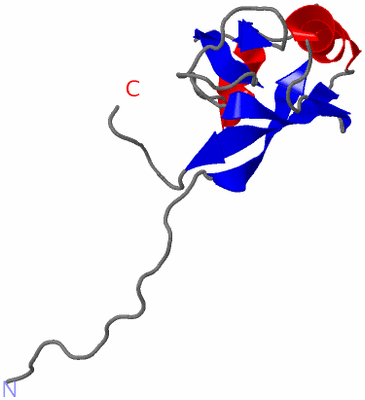 Image NMR Structure - model 1