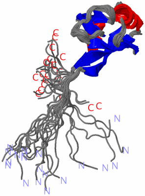 Image NMR Structure - all models