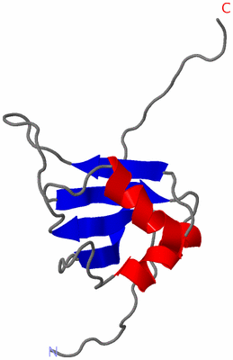 Image NMR Structure - model 1