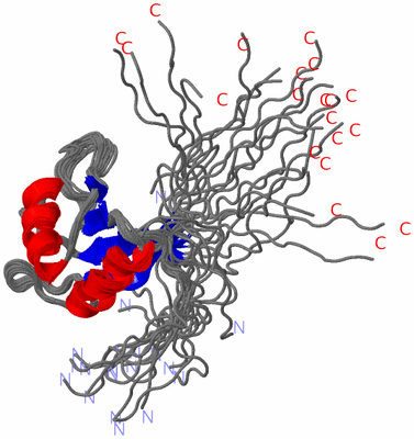 Image NMR Structure - all models