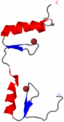 Image NMR Structure - model 1