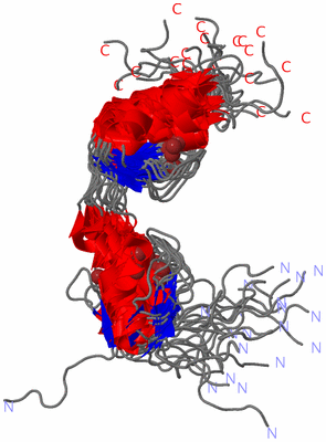 Image NMR Structure - all models