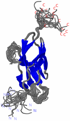 Image NMR Structure - all models