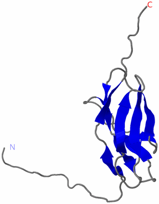 Image NMR Structure - model 1