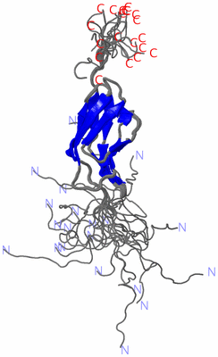 Image NMR Structure - all models