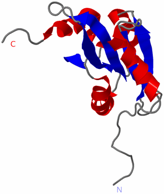 Image NMR Structure - model 1