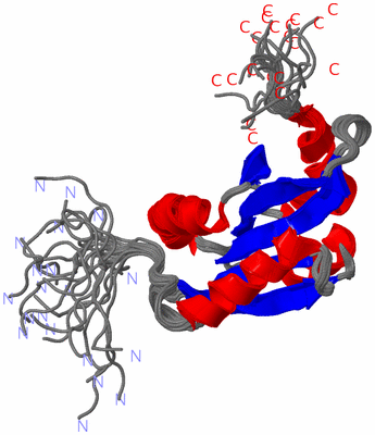 Image NMR Structure - all models