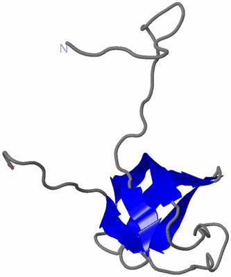 Image NMR Structure - model 1