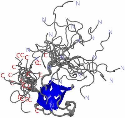 Image NMR Structure - all models