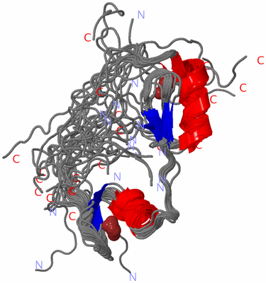 Image NMR Structure - all models