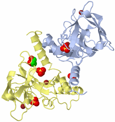 Image Biological Unit 1