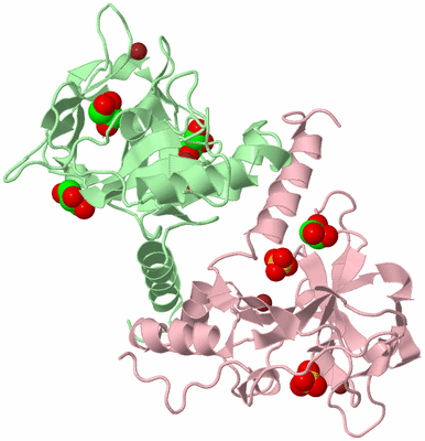 Image Biological Unit 2