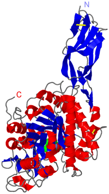 Image Asym./Biol. Unit