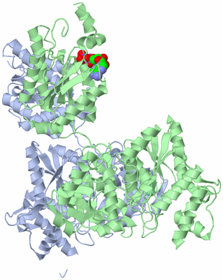 Image Asym./Biol. Unit