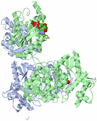 Image Asym./Biol. Unit - sites