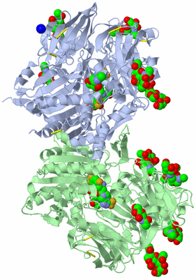 Image Asym./Biol. Unit