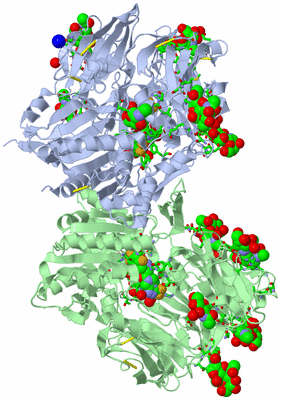 Image Asym./Biol. Unit - sites