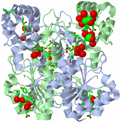 Image Biol. Unit 1 - sites