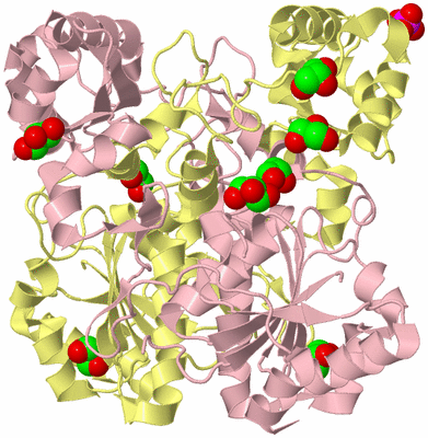 Image Biological Unit 2