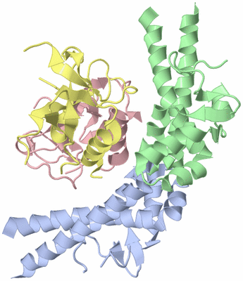 Image Asym./Biol. Unit