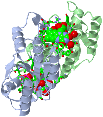 Image Asym./Biol. Unit - sites