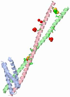 Image Asym./Biol. Unit - sites