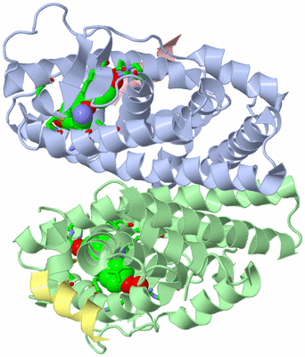 Image Asym./Biol. Unit - sites