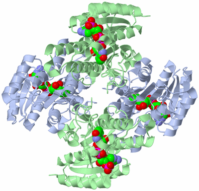 Image Biological Unit 1