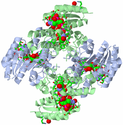 Image Biol. Unit 1 - sites