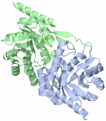 Image Asym./Biol. Unit