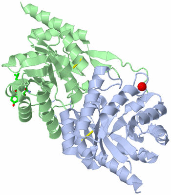 Image Asym./Biol. Unit - sites