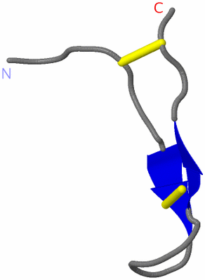 Image NMR Structure - model 1
