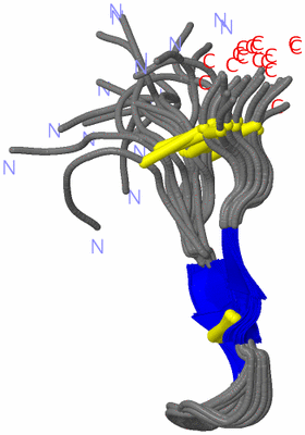 Image NMR Structure - all models