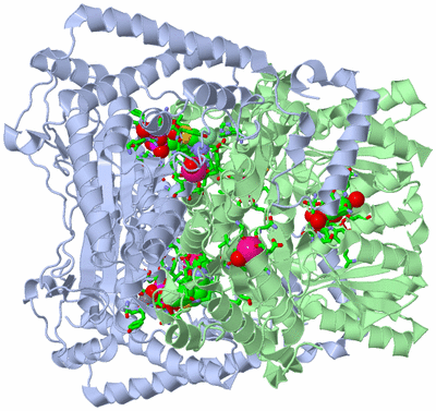 Image Biol. Unit 1 - sites