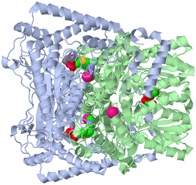 Image Biological Unit 1