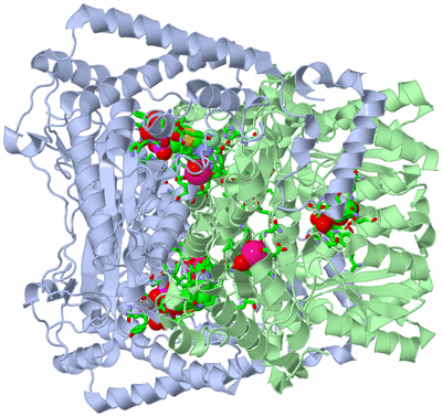 Image Biol. Unit 1 - sites