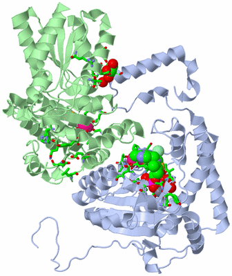 Image Asym. Unit - sites