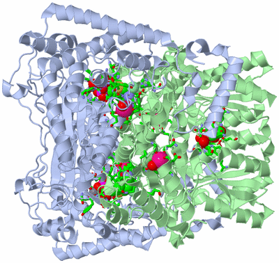 Image Biol. Unit 1 - sites