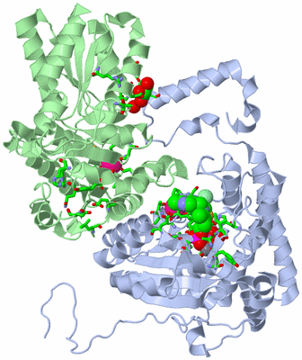 Image Asym. Unit - sites