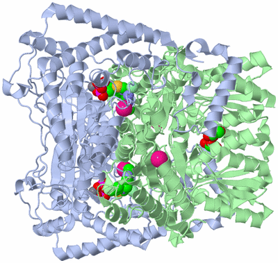 Image Biological Unit 1