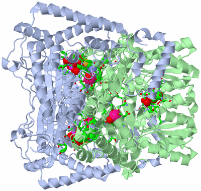 Image Biol. Unit 1 - sites