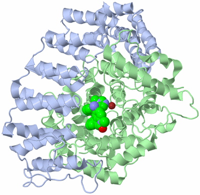 Image Asym./Biol. Unit