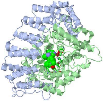 Image Asym./Biol. Unit - sites