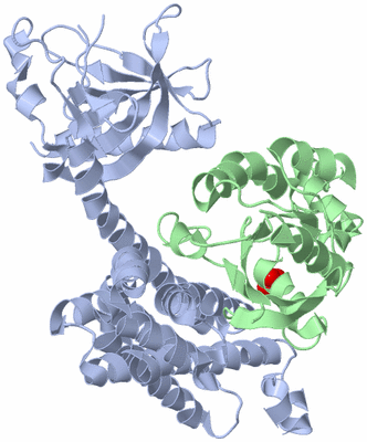 Image Biological Unit 1