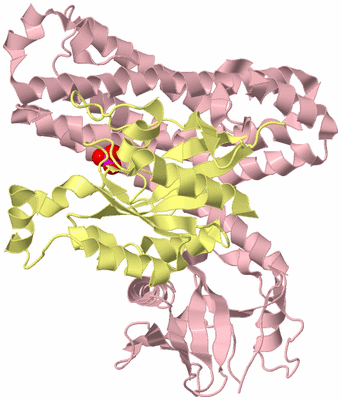 Image Biological Unit 2