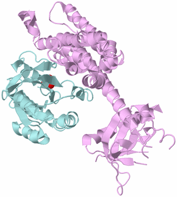 Image Biological Unit 3