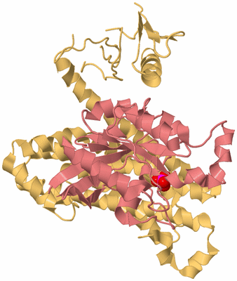 Image Biological Unit 4