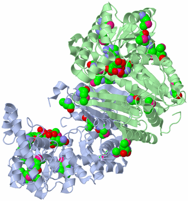 Image Asym./Biol. Unit