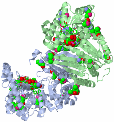 Image Asym./Biol. Unit - sites